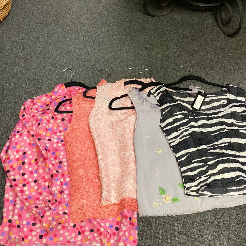 5 Brand New blouses. 4 sleeveless and 1 long sleeved